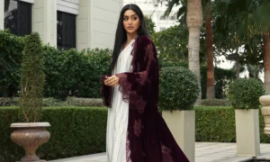 Read more about the article Nabia Women Solid Maroon and Beige Abaya Burqa